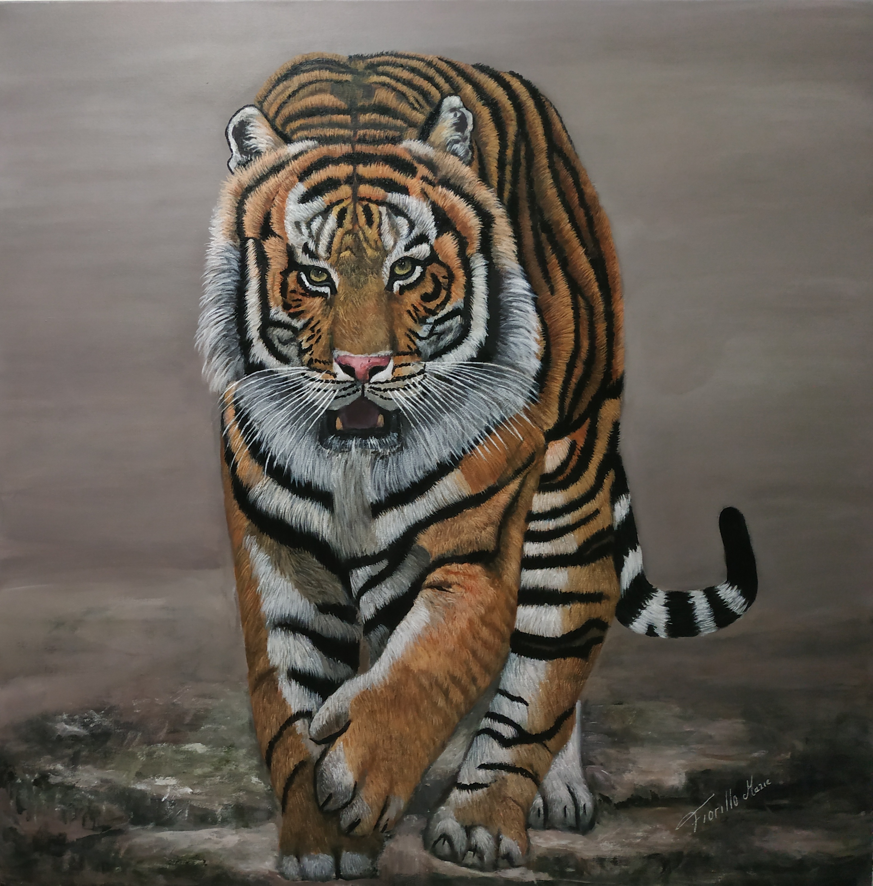 TIGER LE GUIDE